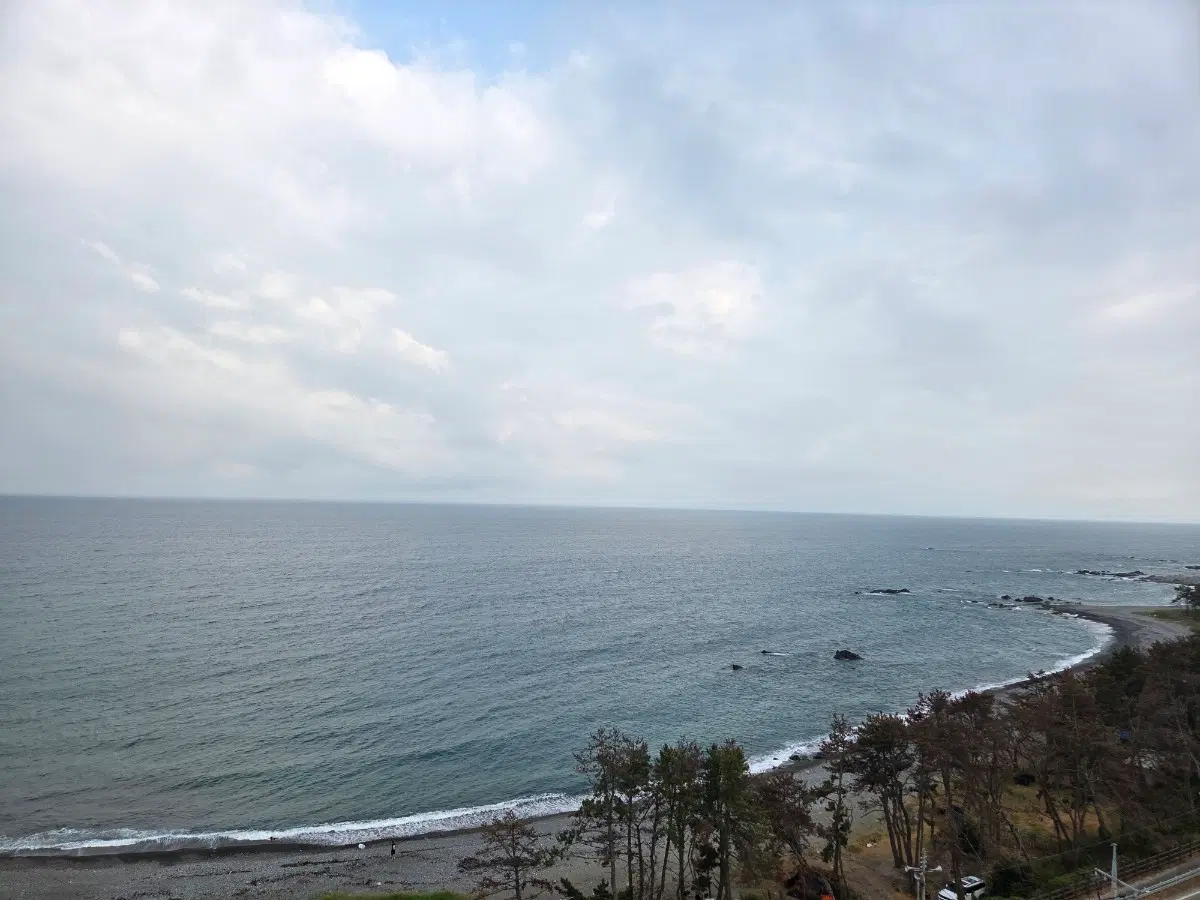 닌켄도 스위치2 게임 사요!