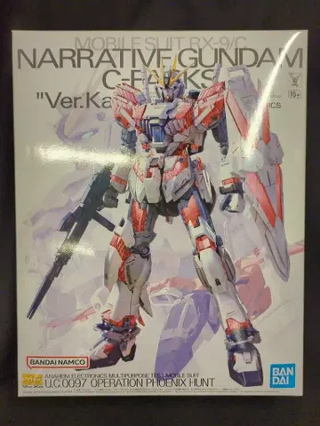 BANDAI SPIRITS MG 1/100 기동전사 건담 NT 내러티브 건담 C 장비 Ver.Ka