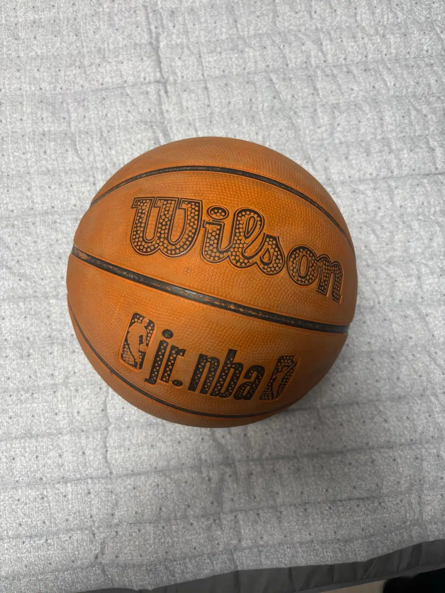 윌슨 주니어 NBA 농구공