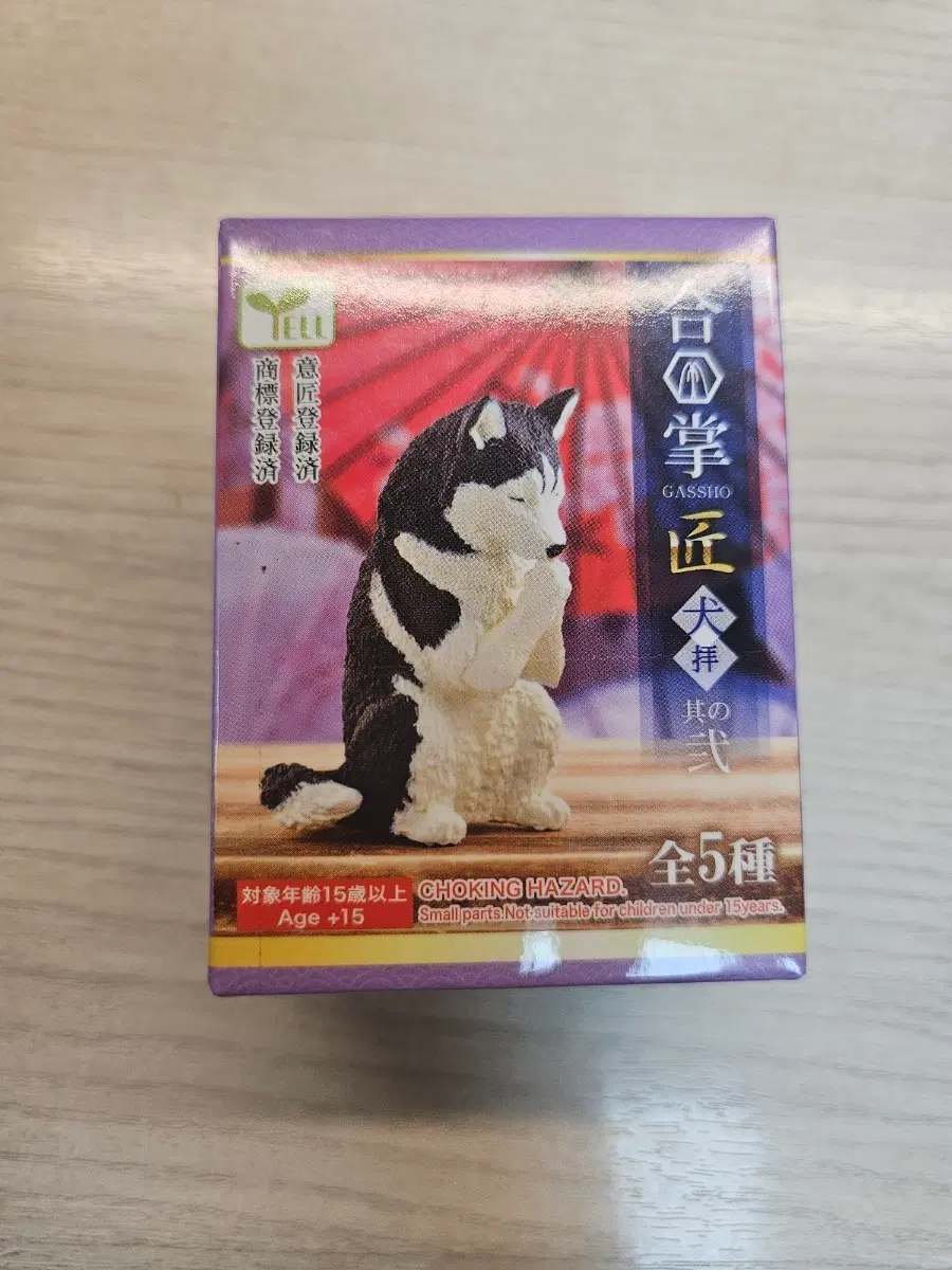 기도하는 강아지