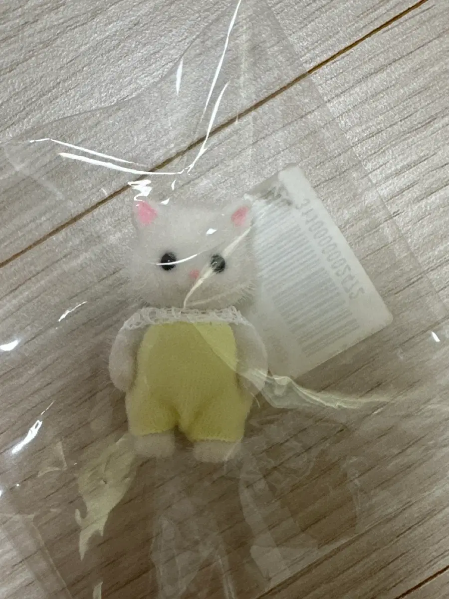 실바니안 페르시안 아기 고양이 판매
