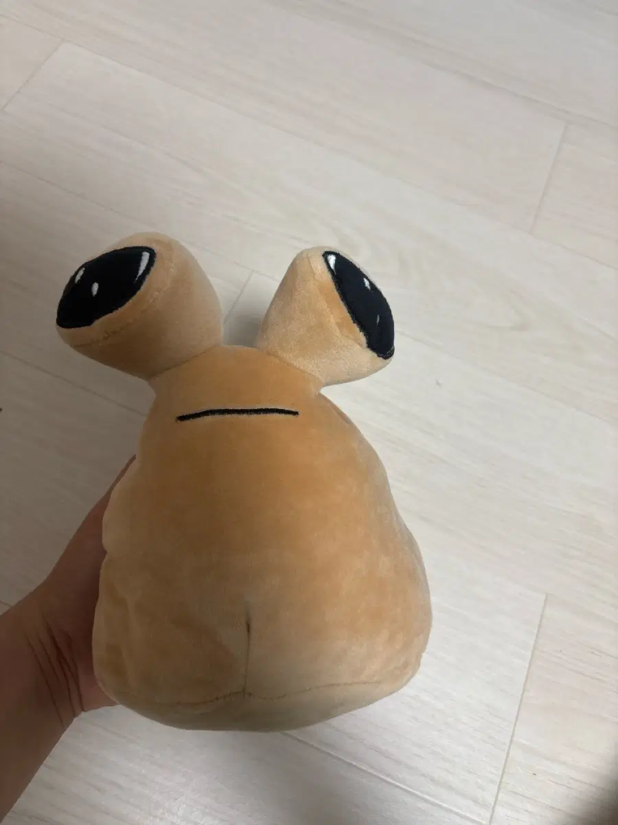 포우 필통