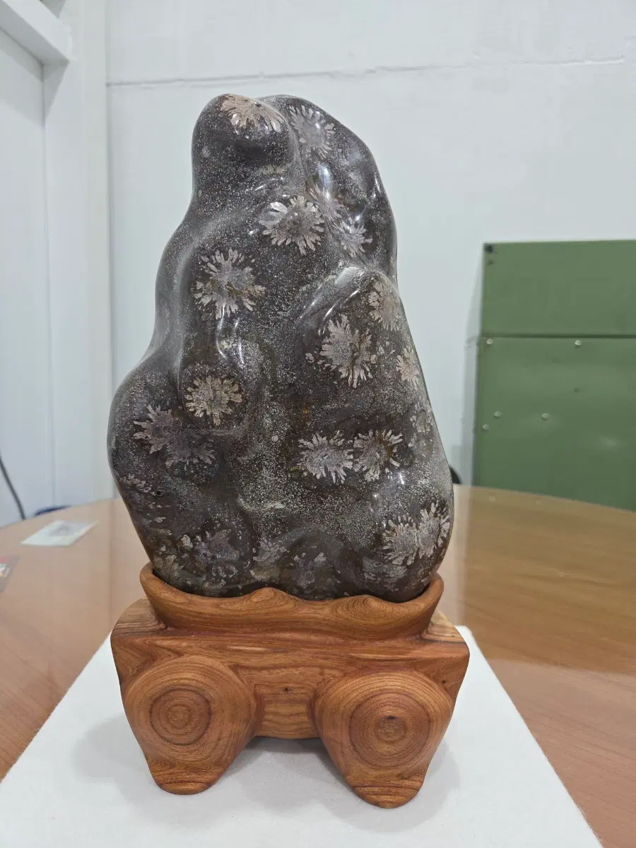 청송 분홍국화 꽃돌