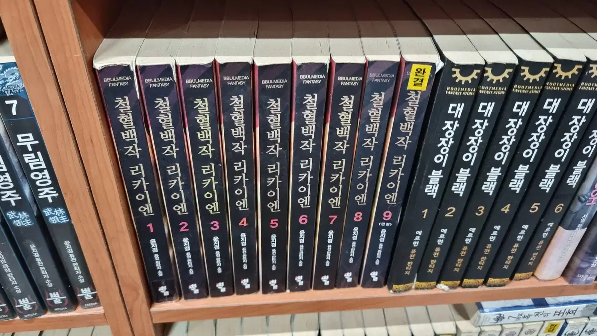 철혈백작리카이엔 1-9 완 윤지겸 퓨전 판타지 소설