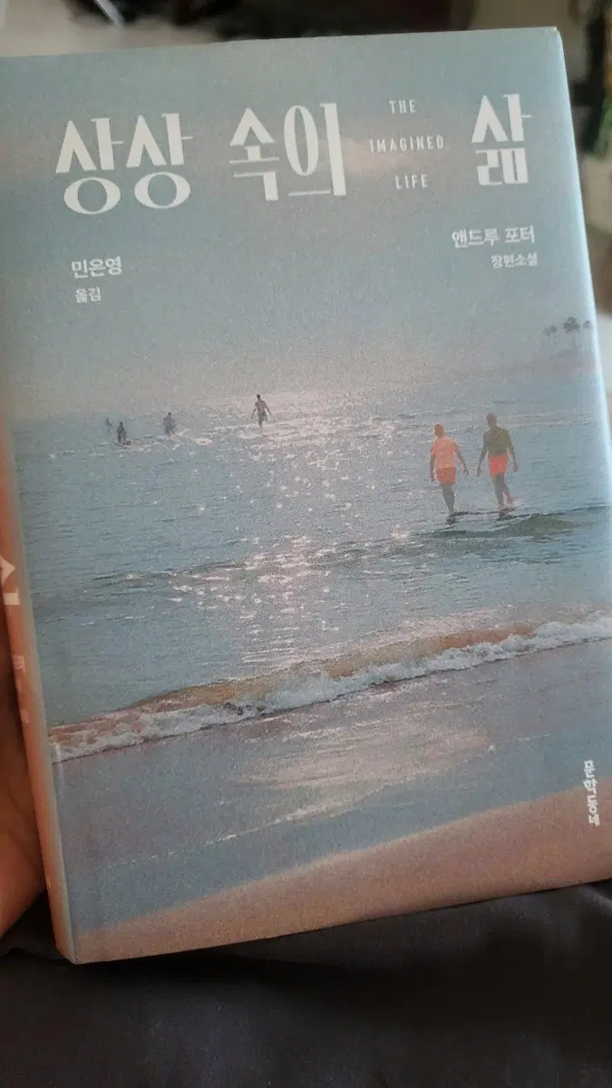 상상속의 삶