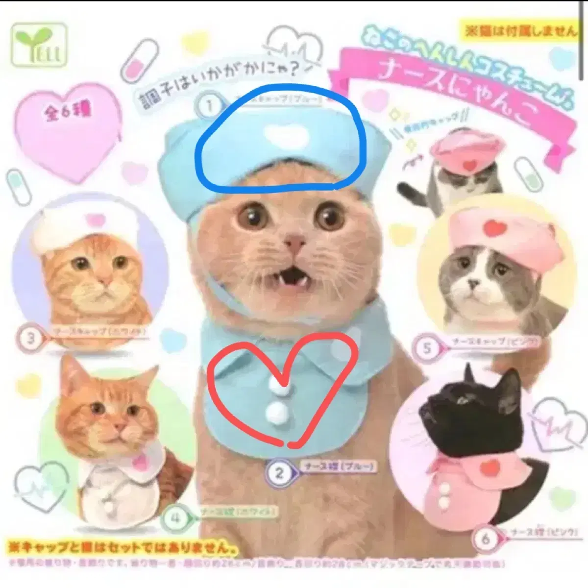 교판) 고양이 간호사 네코 변신 시리즈 고양이 변신 코스튬 가챠 <간호사 냥코>