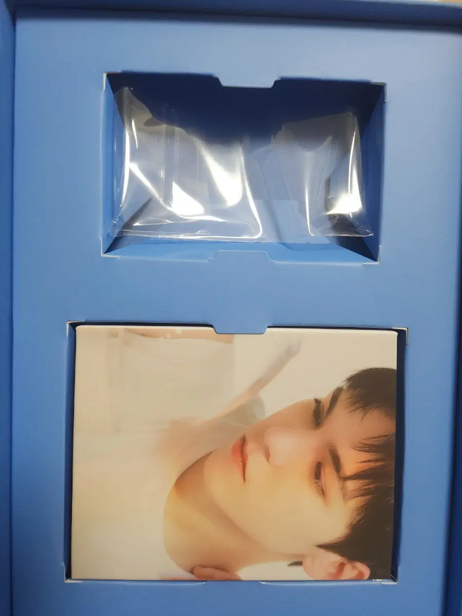 세븐틴 마에스트로 캐럿반 (버논)