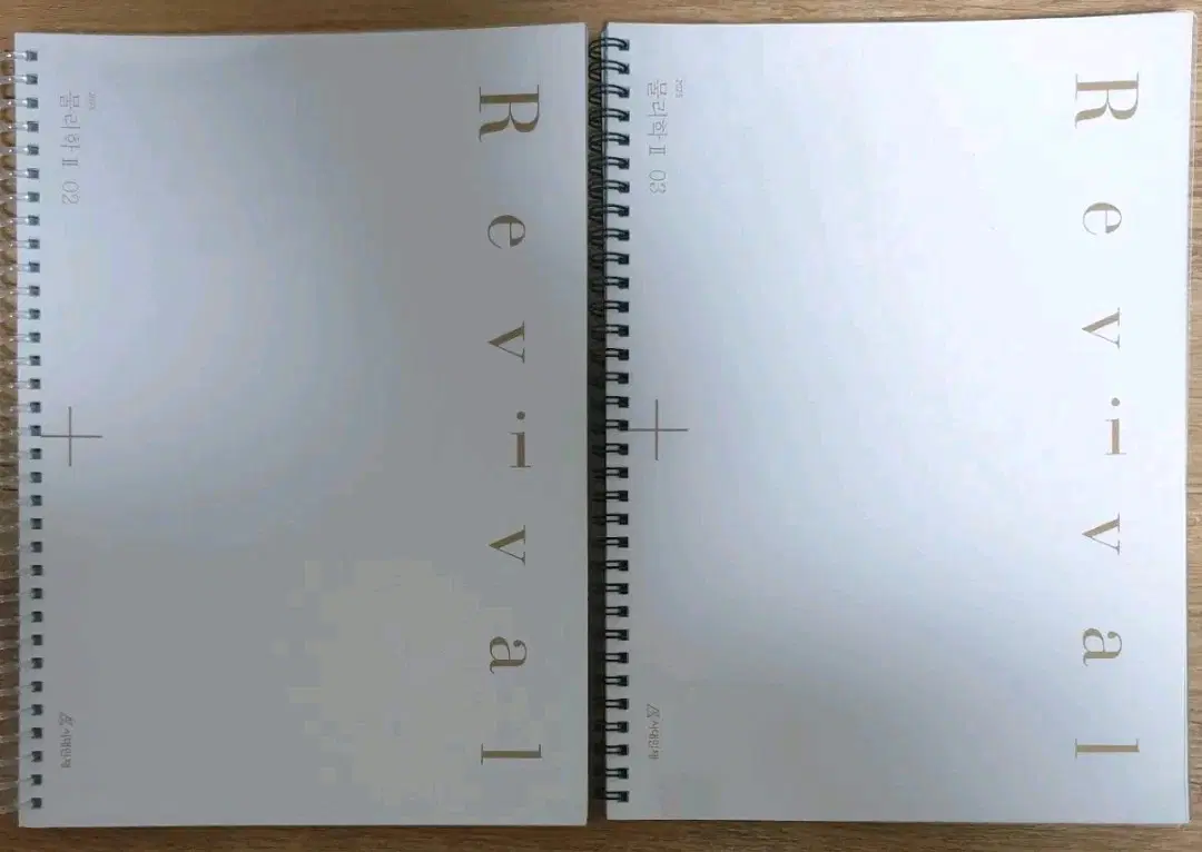 2025 물리학2 시대인재 리바이벌 02, 03권