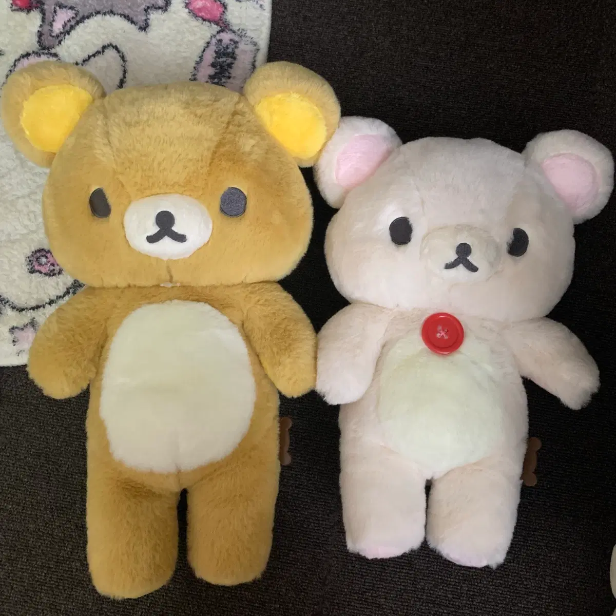 코리락쿠마 멋진집 M사이즈 인형 누이
