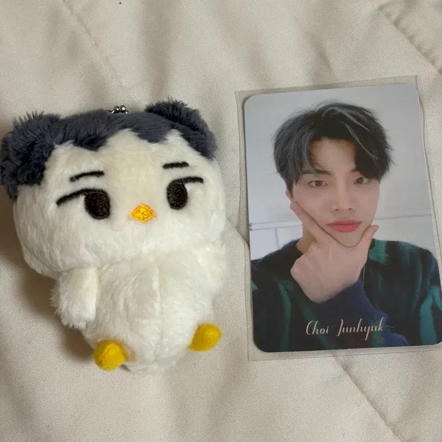 최준혁 폴라 포카 + 인형 쭌아리