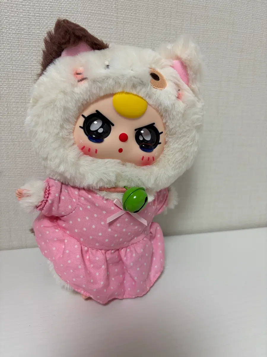베이비쓰리 고양이