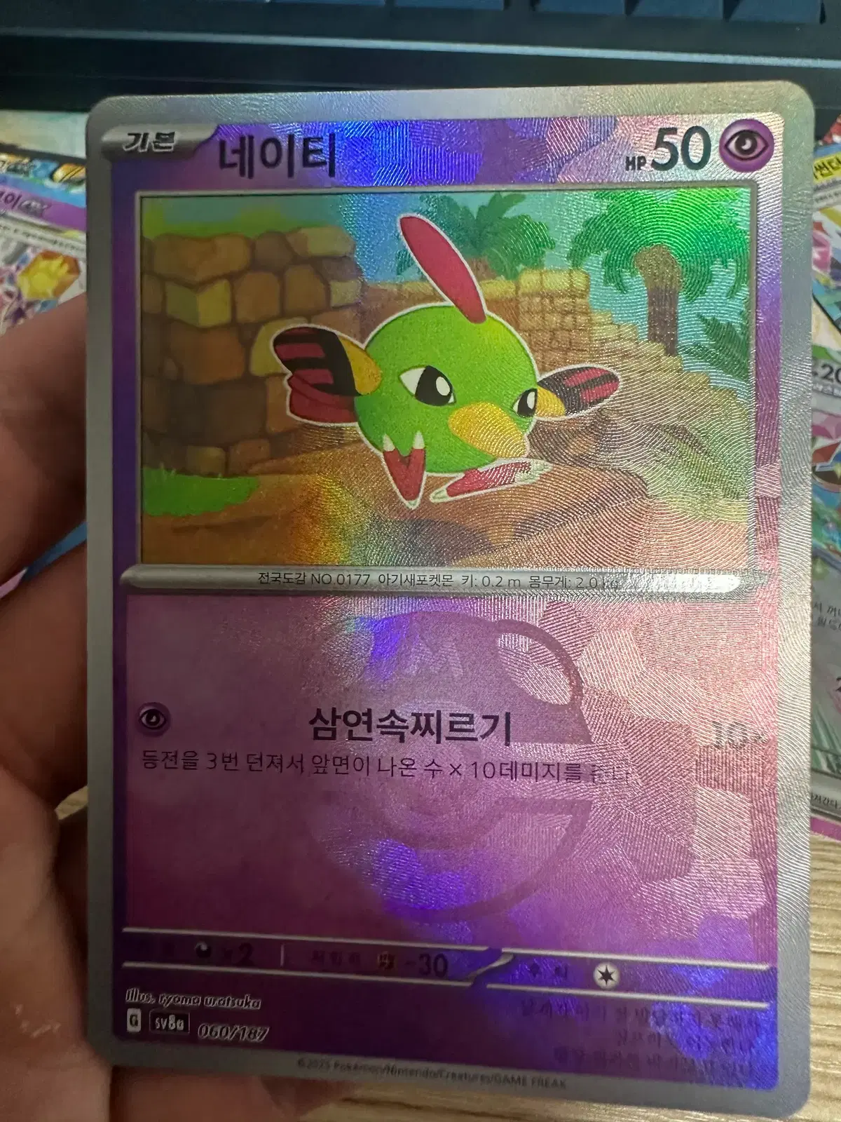 네이티 마스터볼 카드 팝니다!!