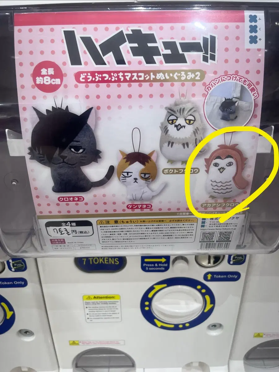 하이큐 아카아시 인형