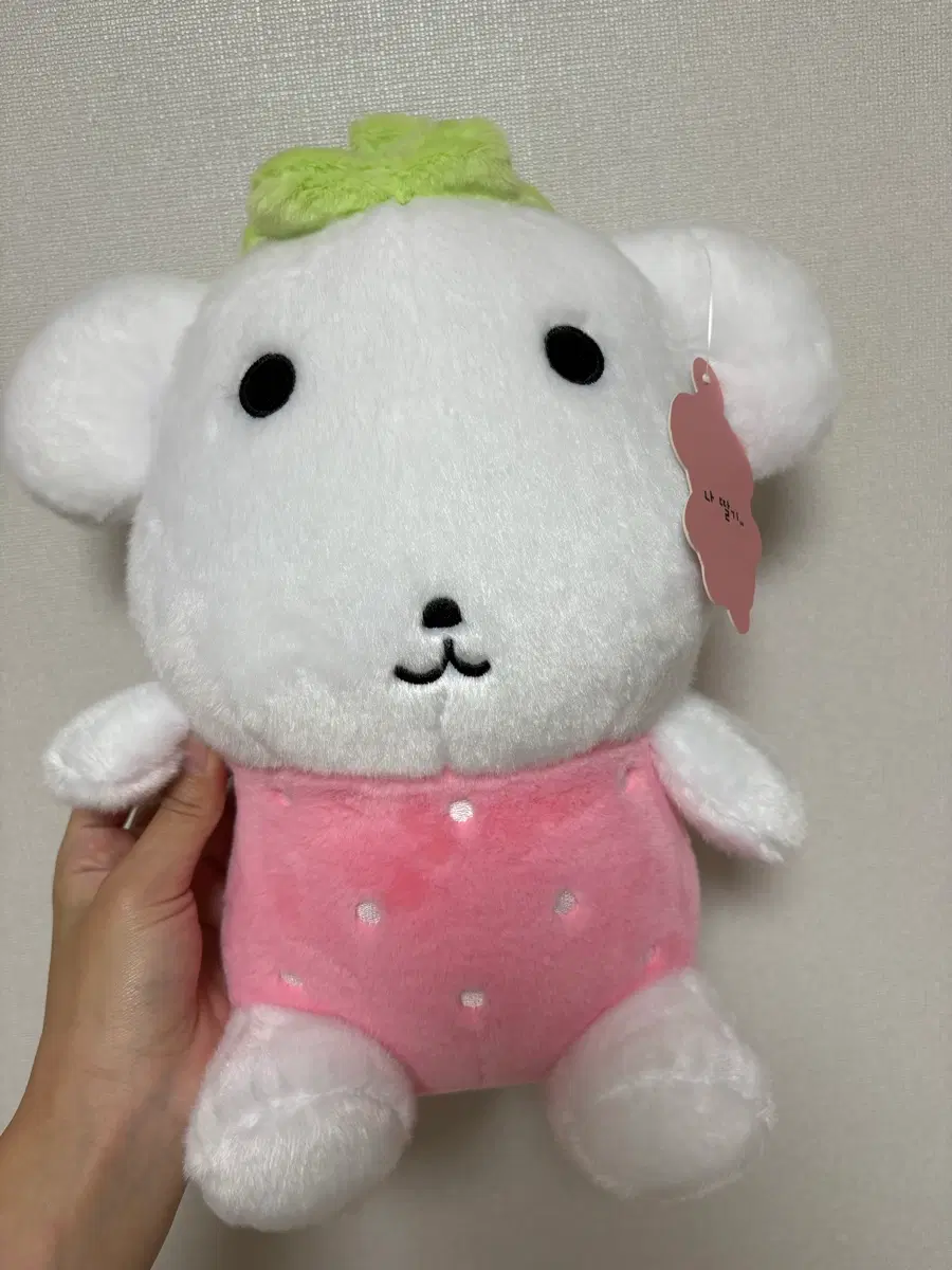 나 안아 가나디 33cm 인형