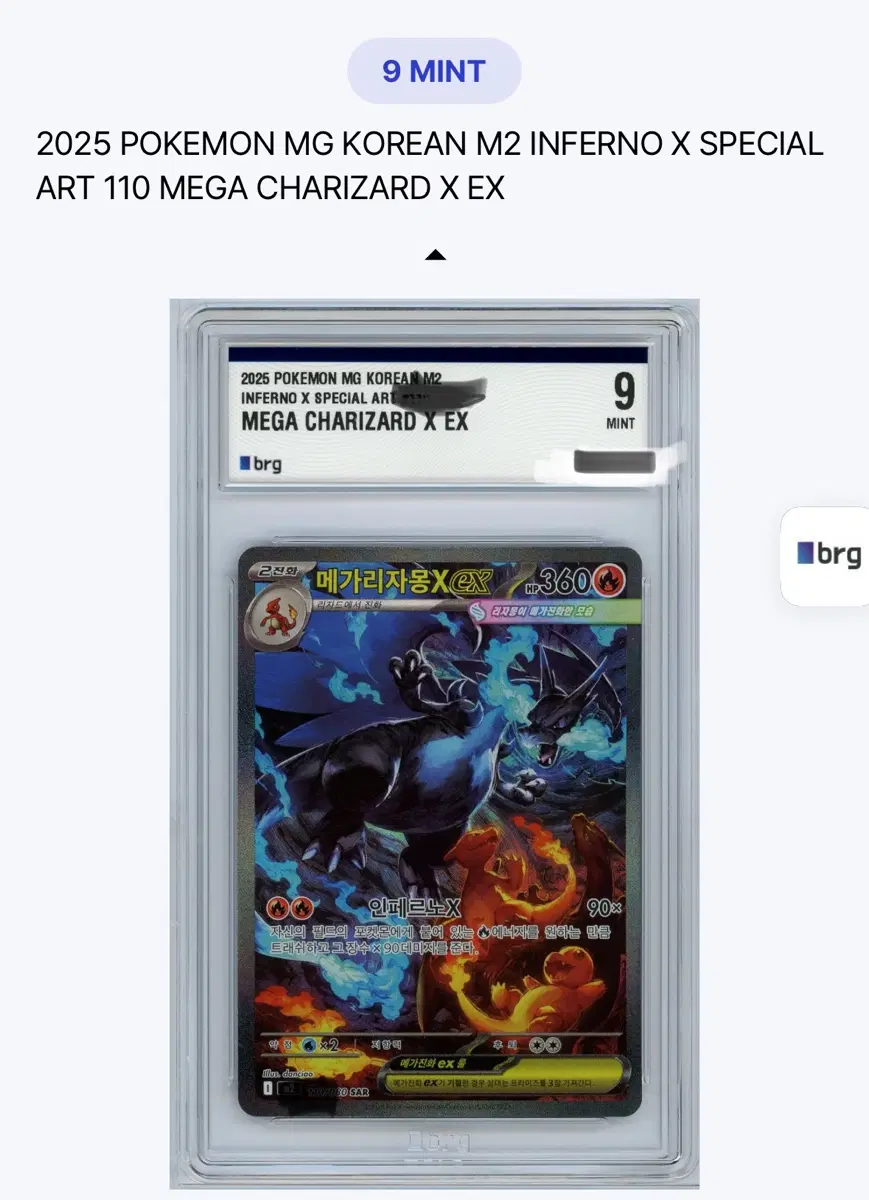 메가리자몽sar brg9 mint