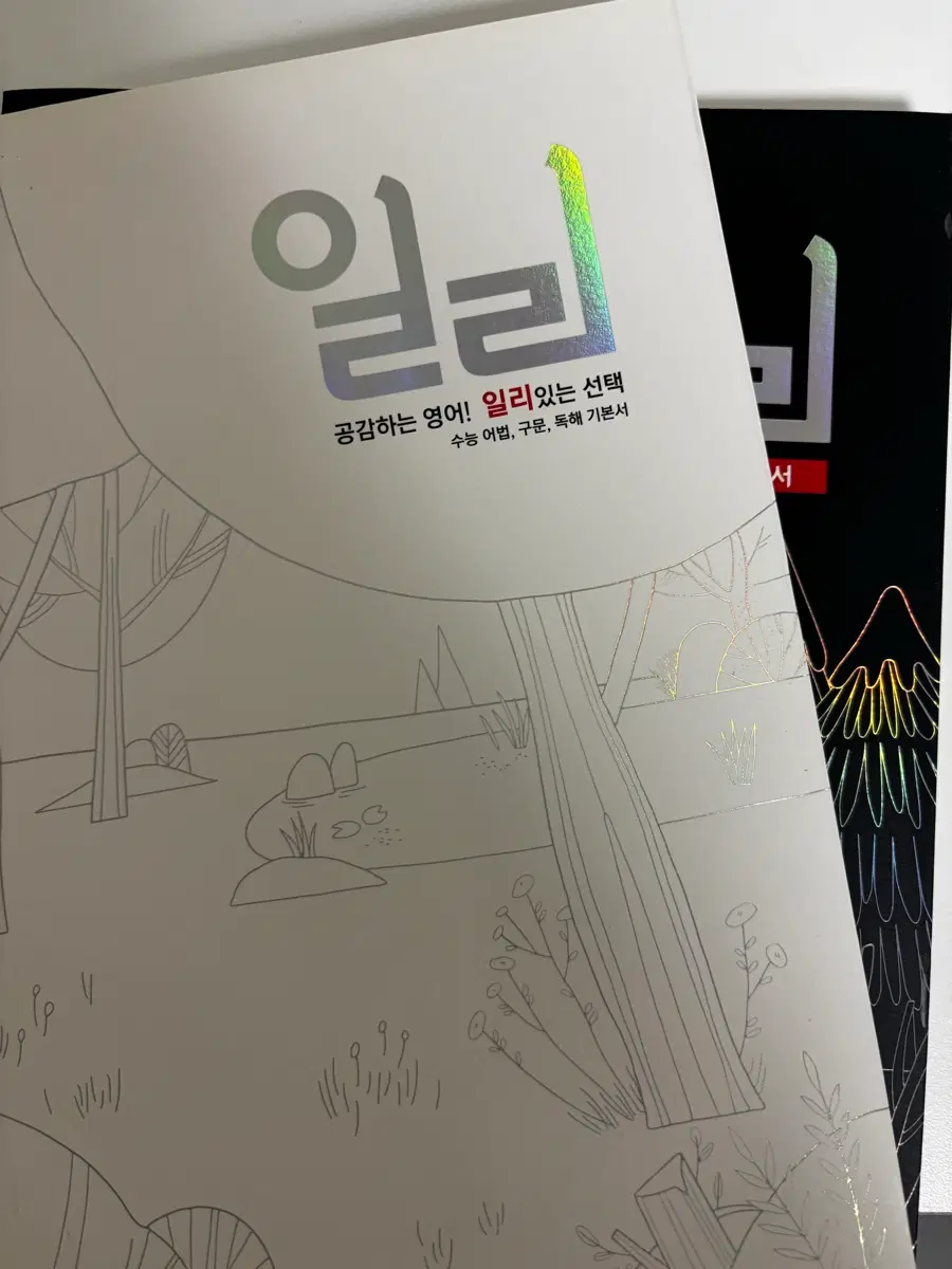 이명학 일리