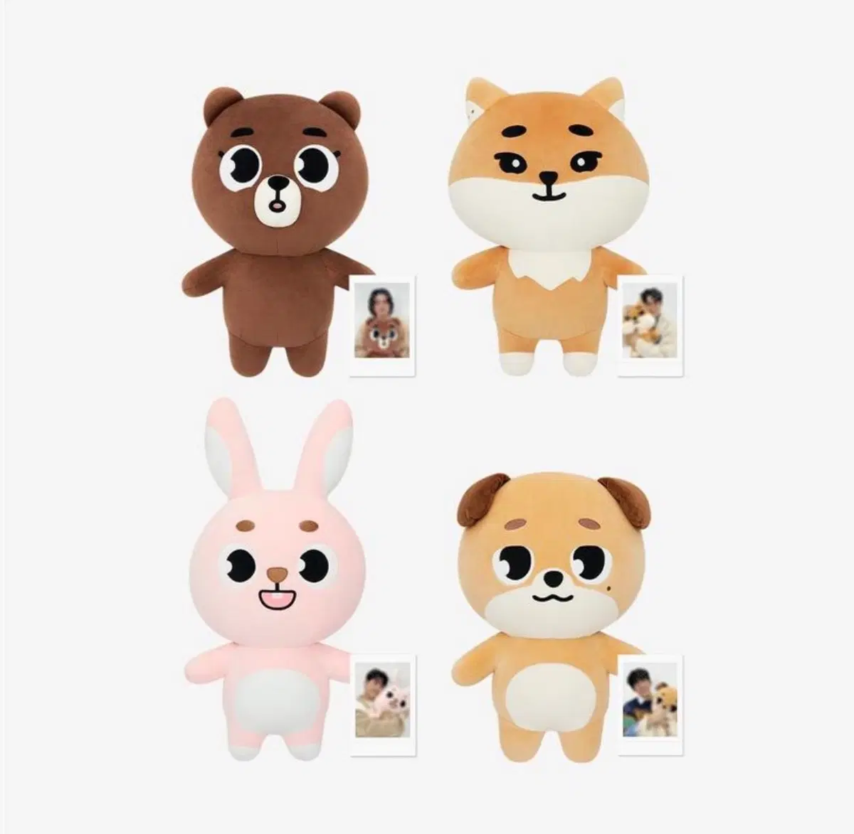 자이언트 데니멀즈 케 (폴라 포카 포함)