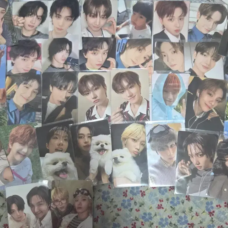 보넥도 포카 71개 일괄판매 급처로 빠르게 팔아요!