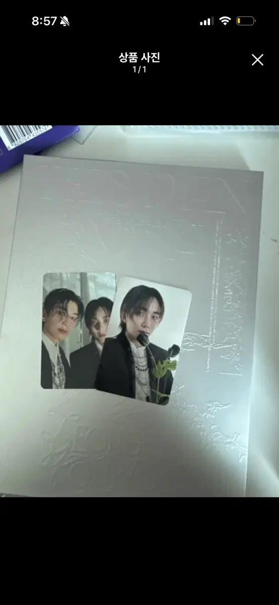 정한원우어젯밤 앨범 판매