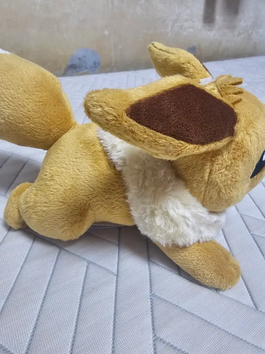 포켓몬 봉제인형 이브이 엎드림