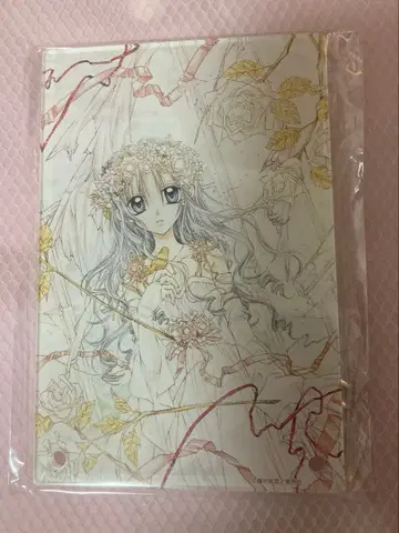 타네무라 아리나 30주년 기념전 복권 B상 만월을 찾아서