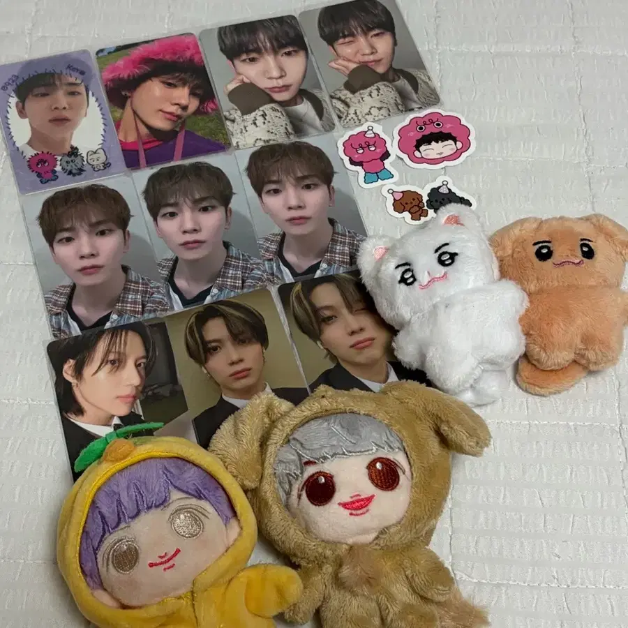 샤이니 포카 인형 일괄 키 복실이 태민