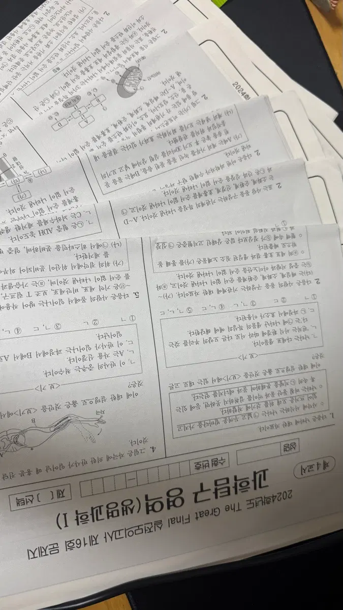 생명 실모