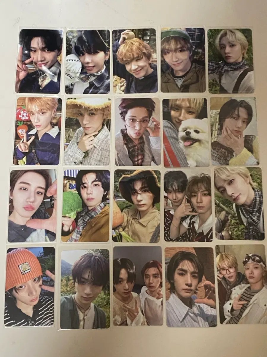 보넥도 포카 20장 일괄