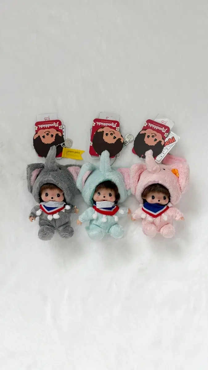 태국 코끼리 베비치치 세트