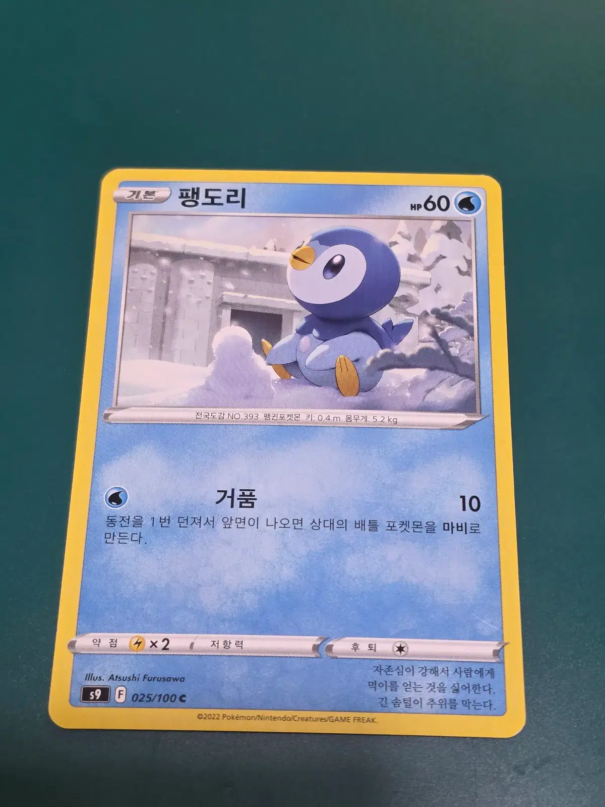 팽도리 025 100 s9 고전 포켓몬카드