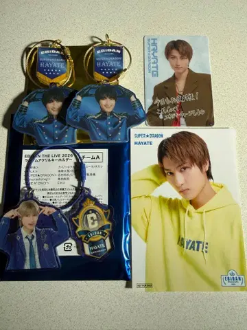 SUPER DRAGON HAYATE 아크릴 키링 세트