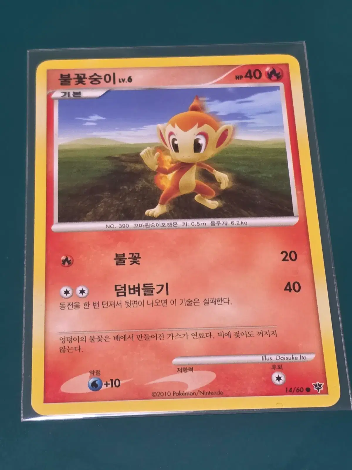 불꽃숭이 닌텐도 버전 2010 lv 6 포켓몬카드