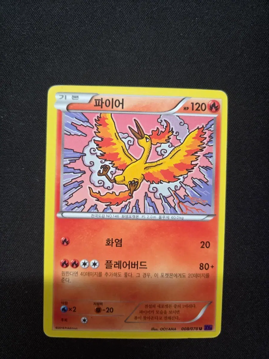 포켓몬카드 파이어