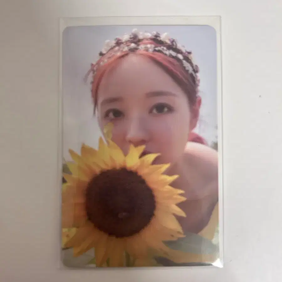 유아 본보야지 앨포