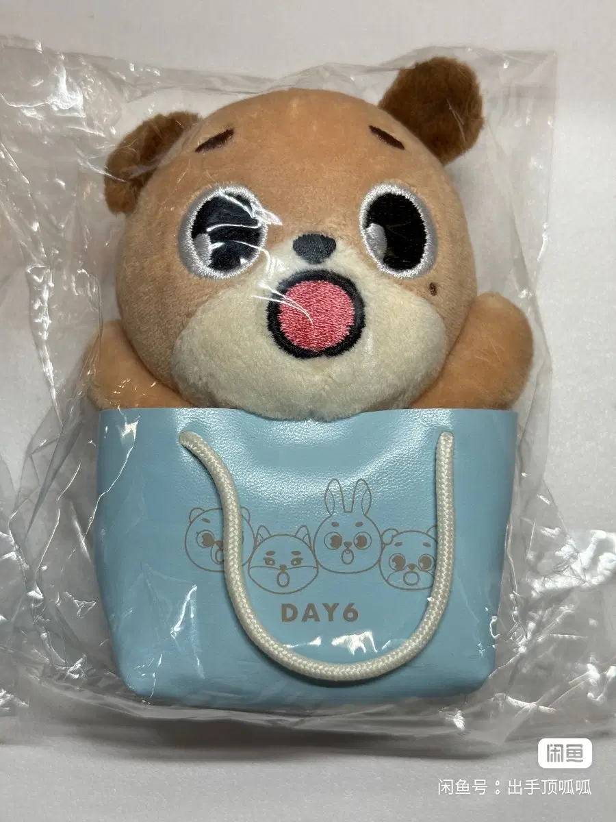 예판 데이식스 일본 인형