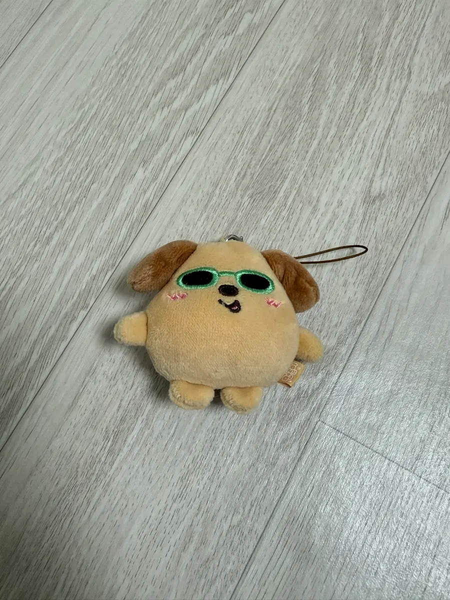 태닝멍룡이 리라즈 라이즈 앤톤