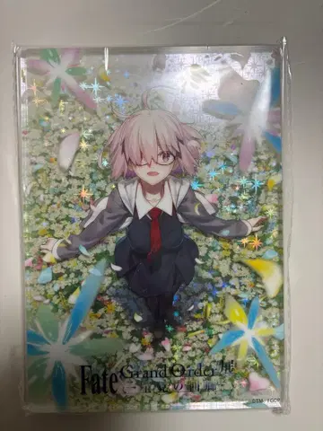 FGO 별을 보는 회랑 특전 레이어드 아크릴 블록