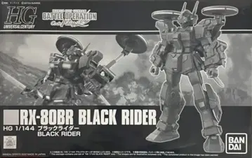BANDAI SPIRITS HG 블랙 라이더