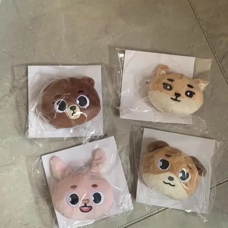 예판 데이식스 일본 팻지 일괄