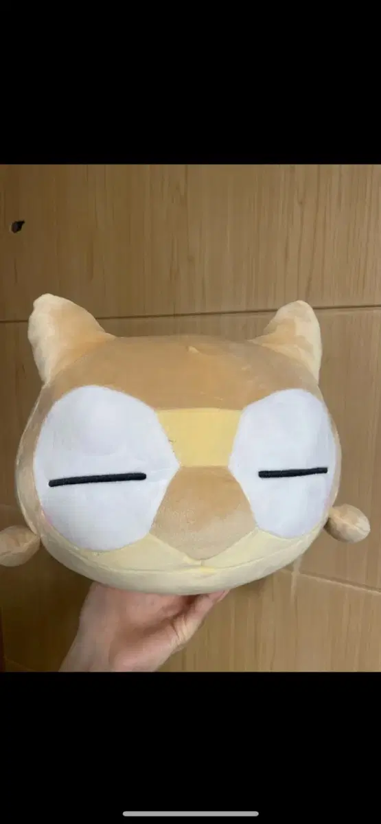 시대컨 팝니다 (재종전용컨 포함) 브릿지N, 버텍스, 생1N서바