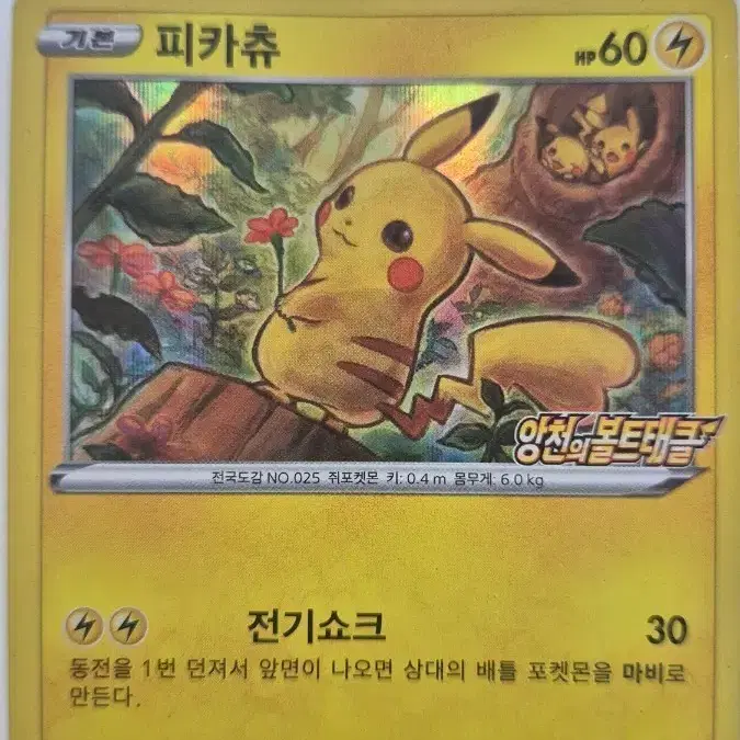 포켓몬 카드 피카츄 양천의 볼트태클 프로모