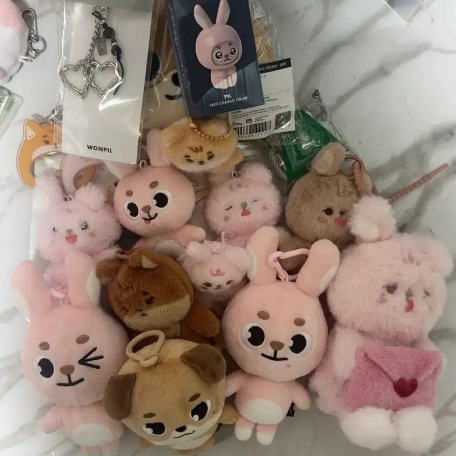 데이식스 데니멀즈 양도