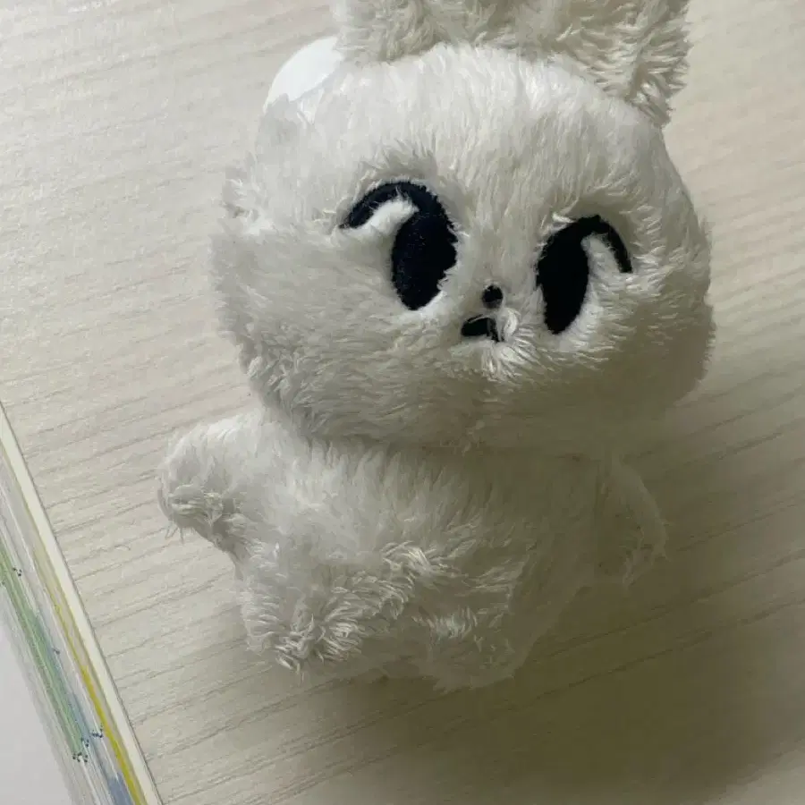 엔시티 도영 인형 하또 양도