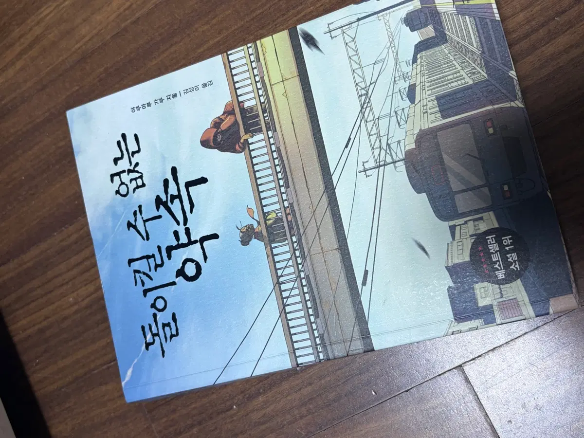 돌이킬 수 없는 약속 책