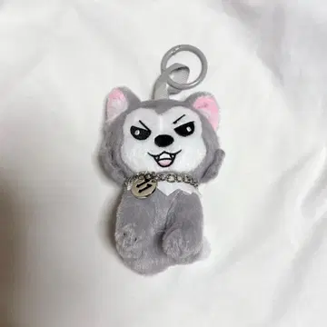 초특급 슈야 생탄 슈가르 마스코트