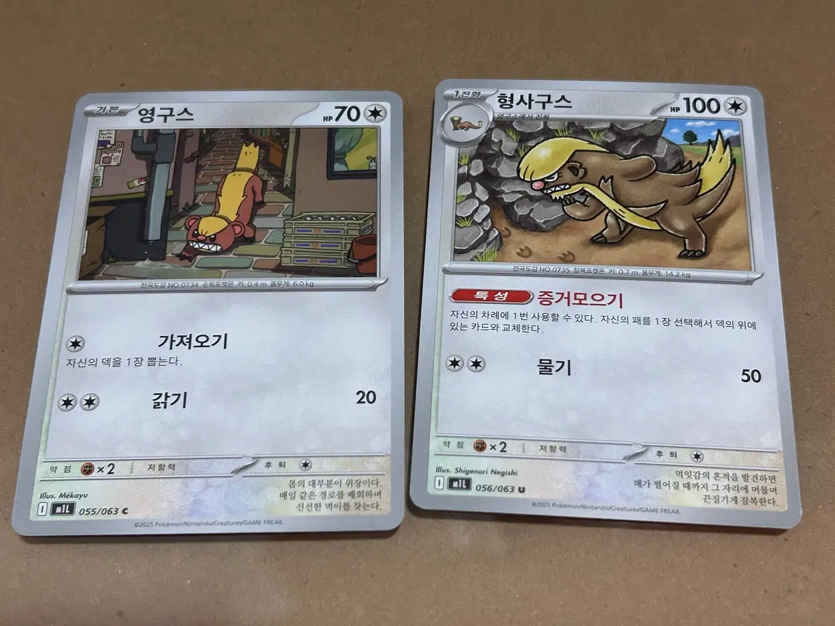 포켓몬 카드 영구스/형사구스 2장 일괄 덱소스 도감용
