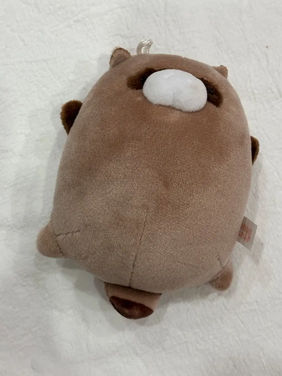 너구리 인형