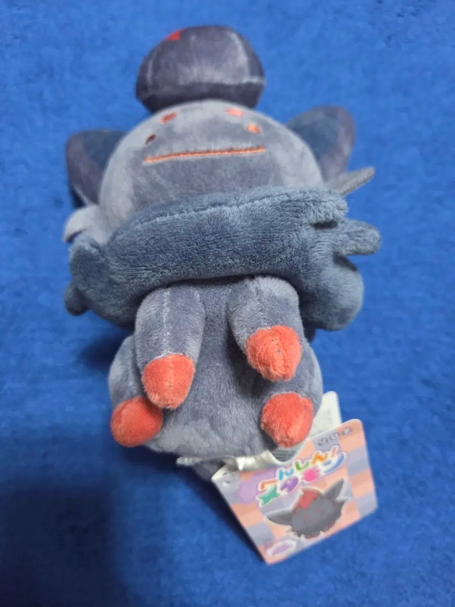 [포켓몬] 변신메타몽 인형 조로아