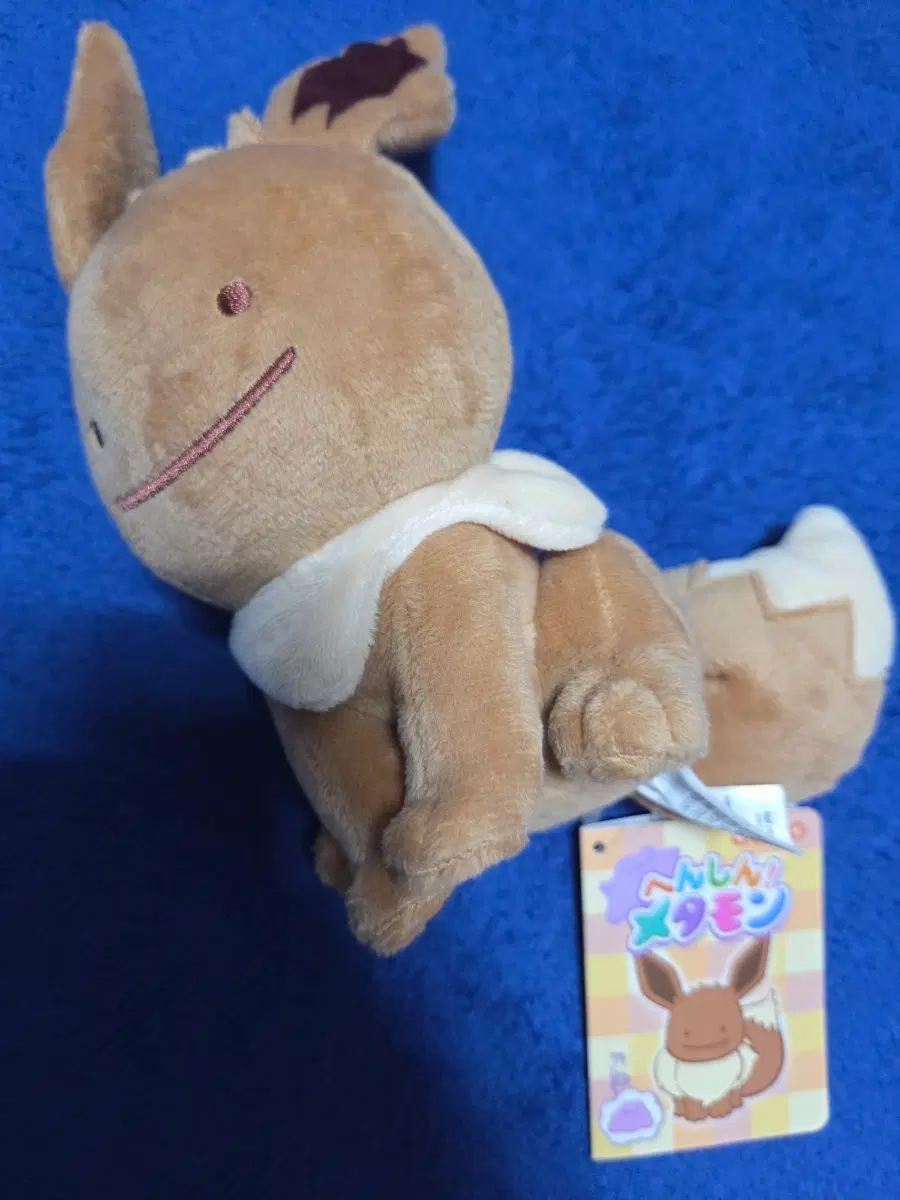 [포켓몬] 변신메타몽 인형 이브이즈 이브이