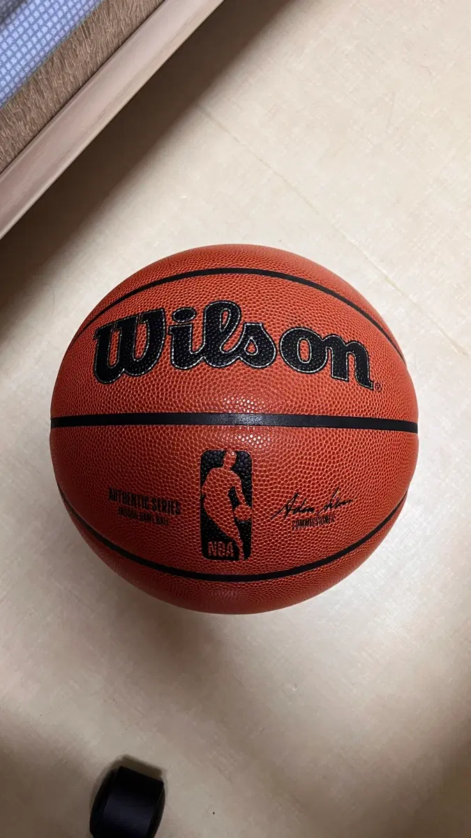 윌슨 NBA 어센틱 시리즈